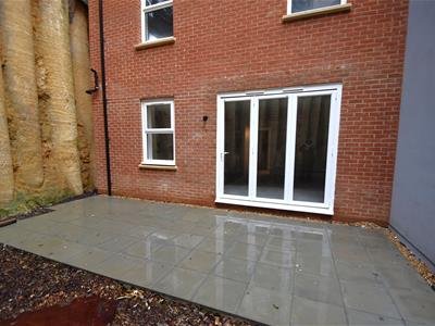 Picture 14